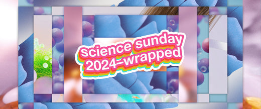 2024's most-read hair science stories